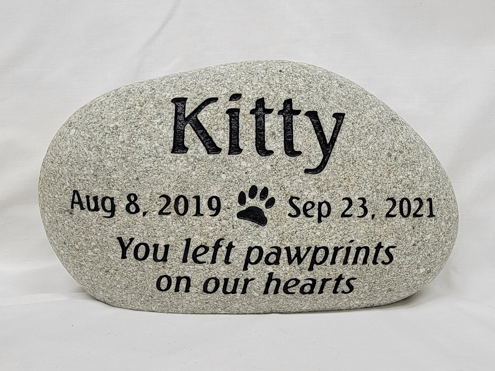 Kitty